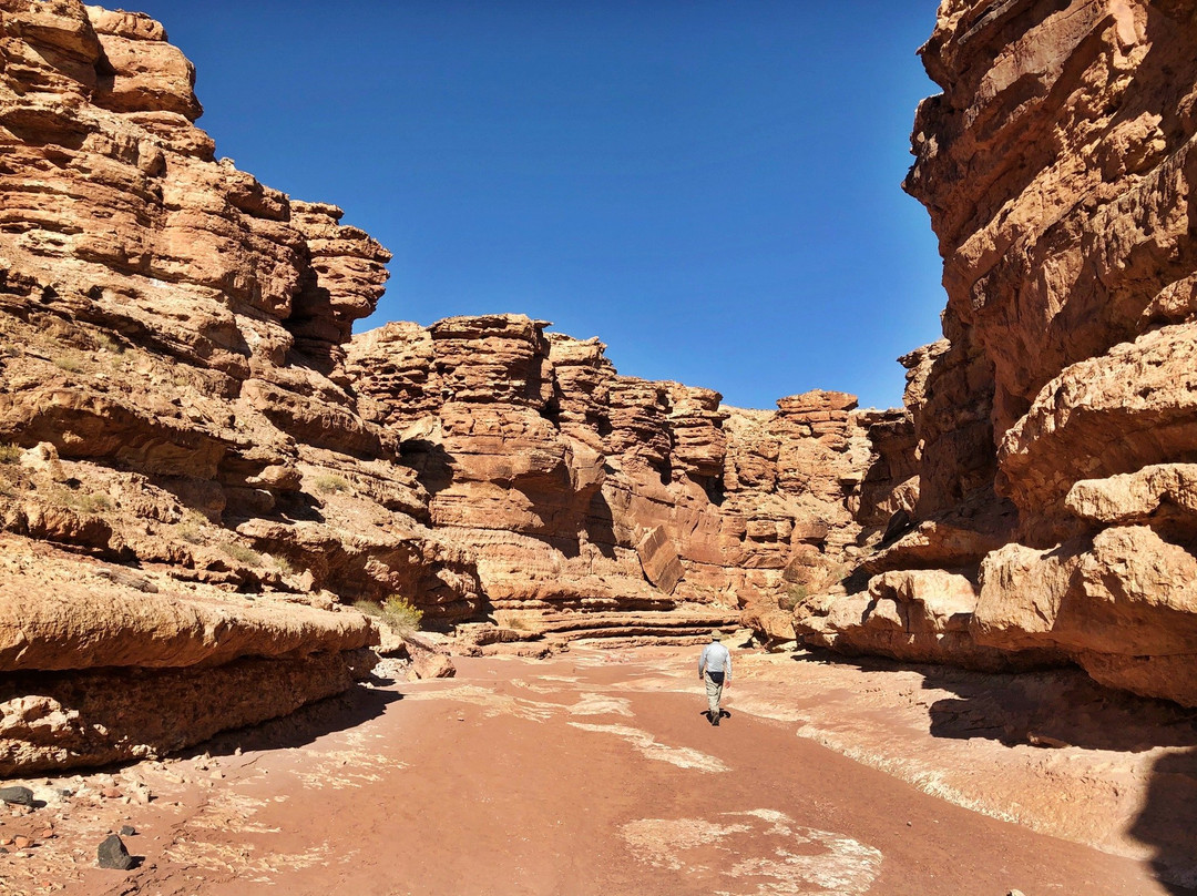 Cathedral Wash Trail-大理石峡谷必去景点
