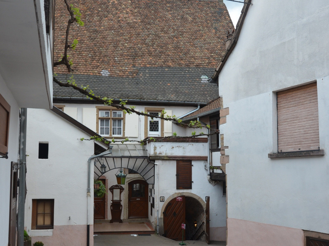 Domaine Armand Gilg景点图片