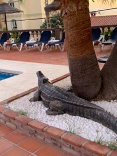 Hotel Zen Airport主图