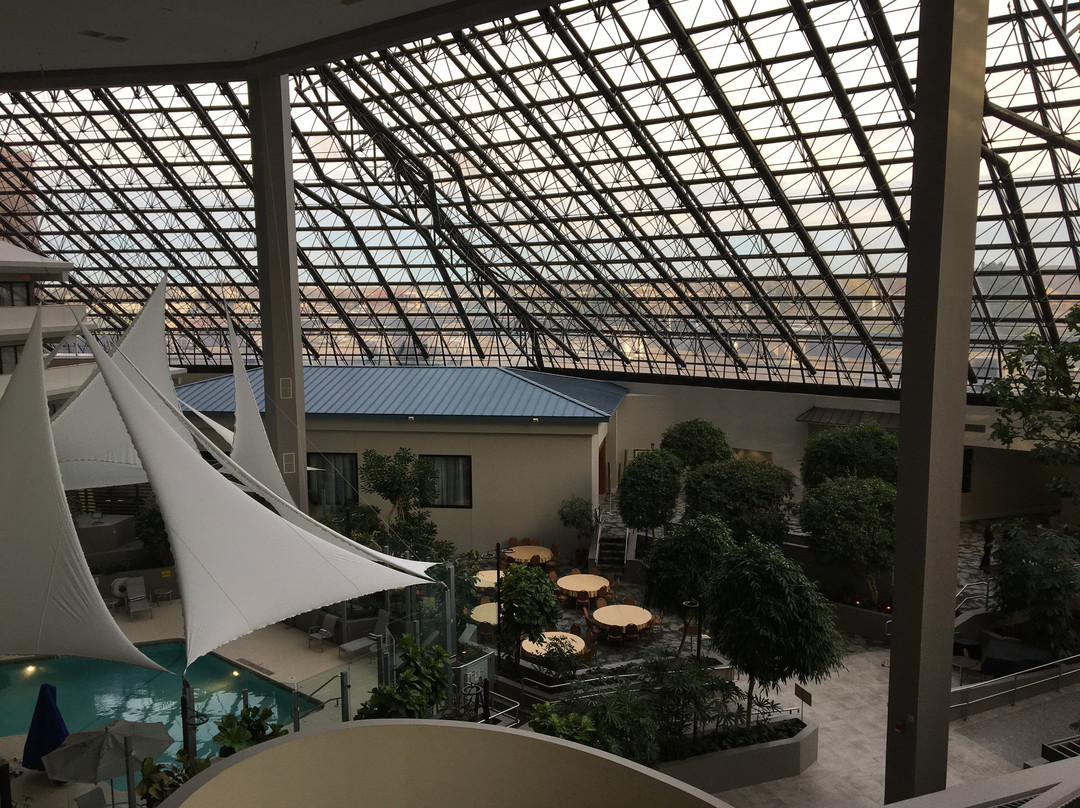 DoubleTree by Hilton Hotel Rochester主图