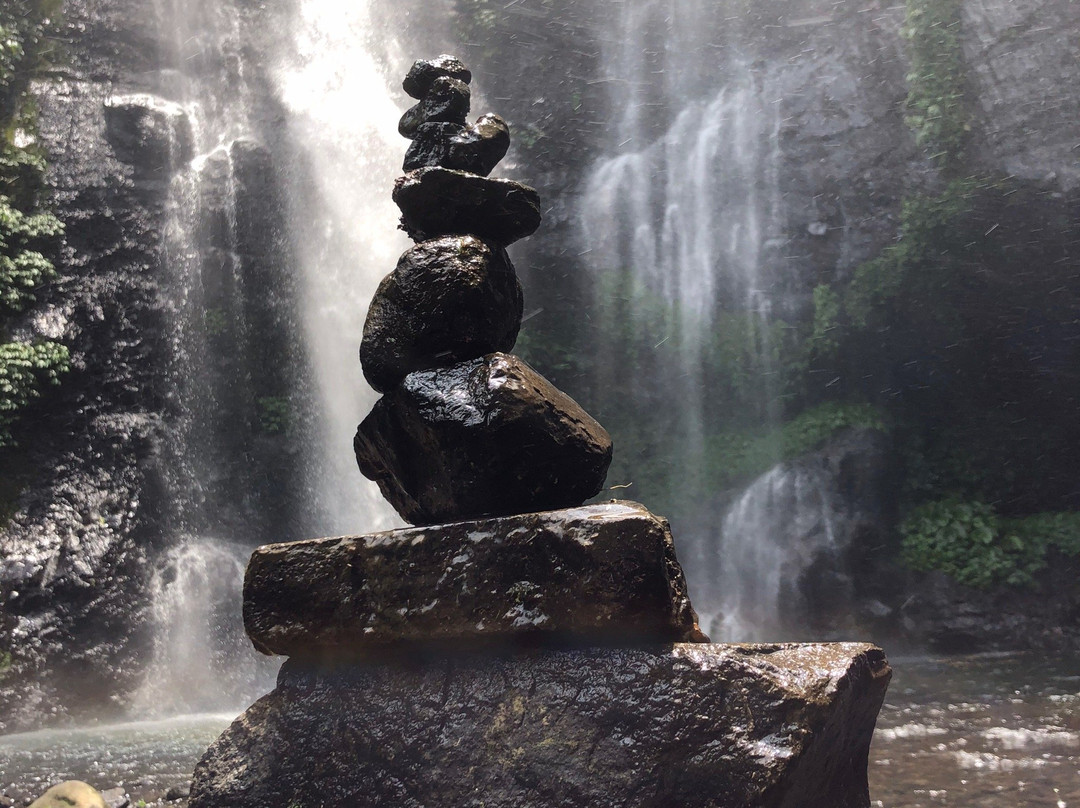 Fiji and sekumful waterfall trekking景点图片