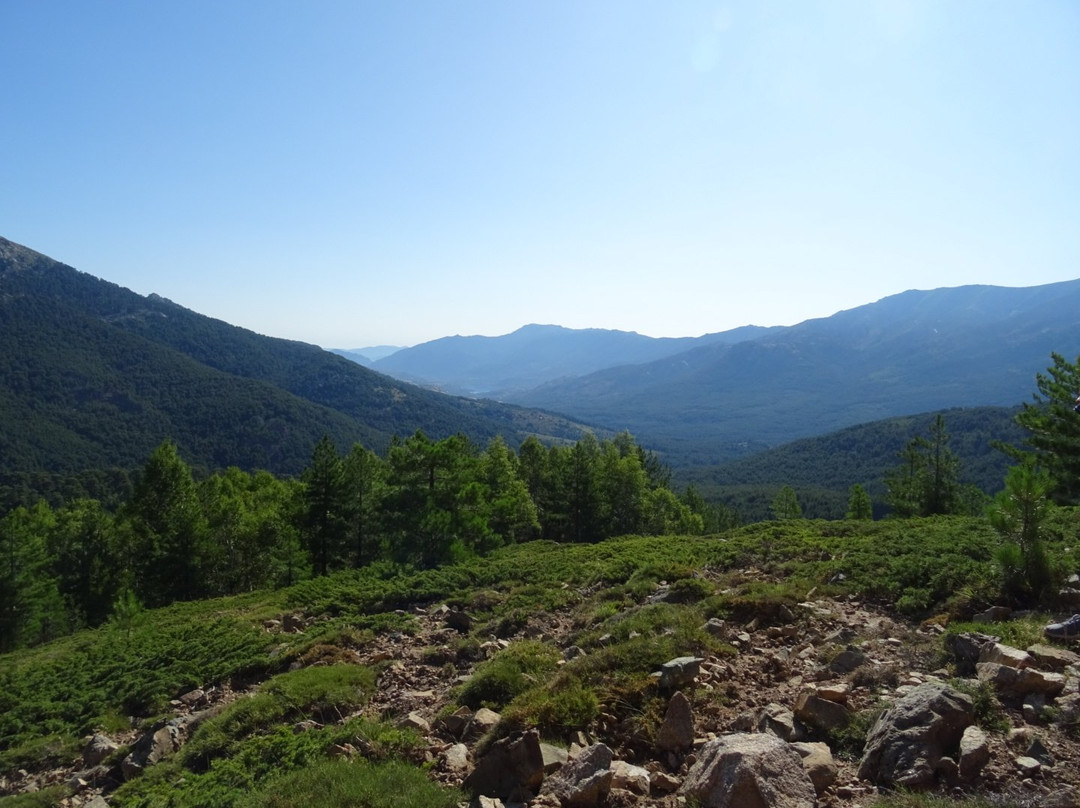 Col de Vergio景点图片