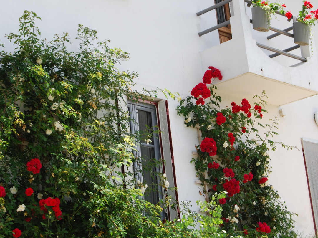 Auberge Saint Pastous主图