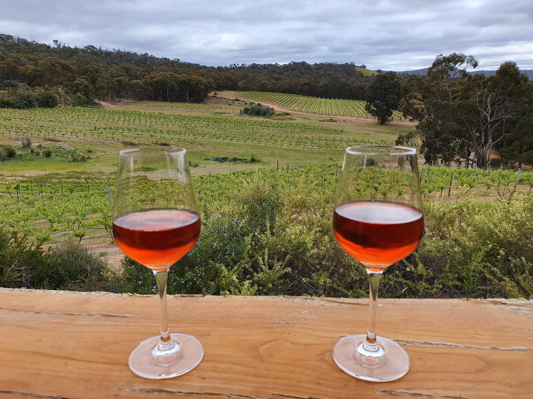 Grape Farm Winery-Moonambel必去景点