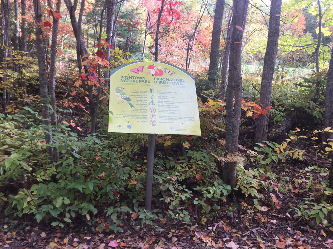 Irishtown Nature Park-蒙古顿必去景点