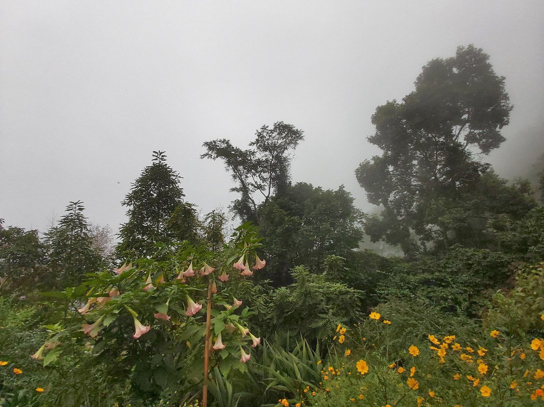Namchi Ropeway-Namchi必去景点