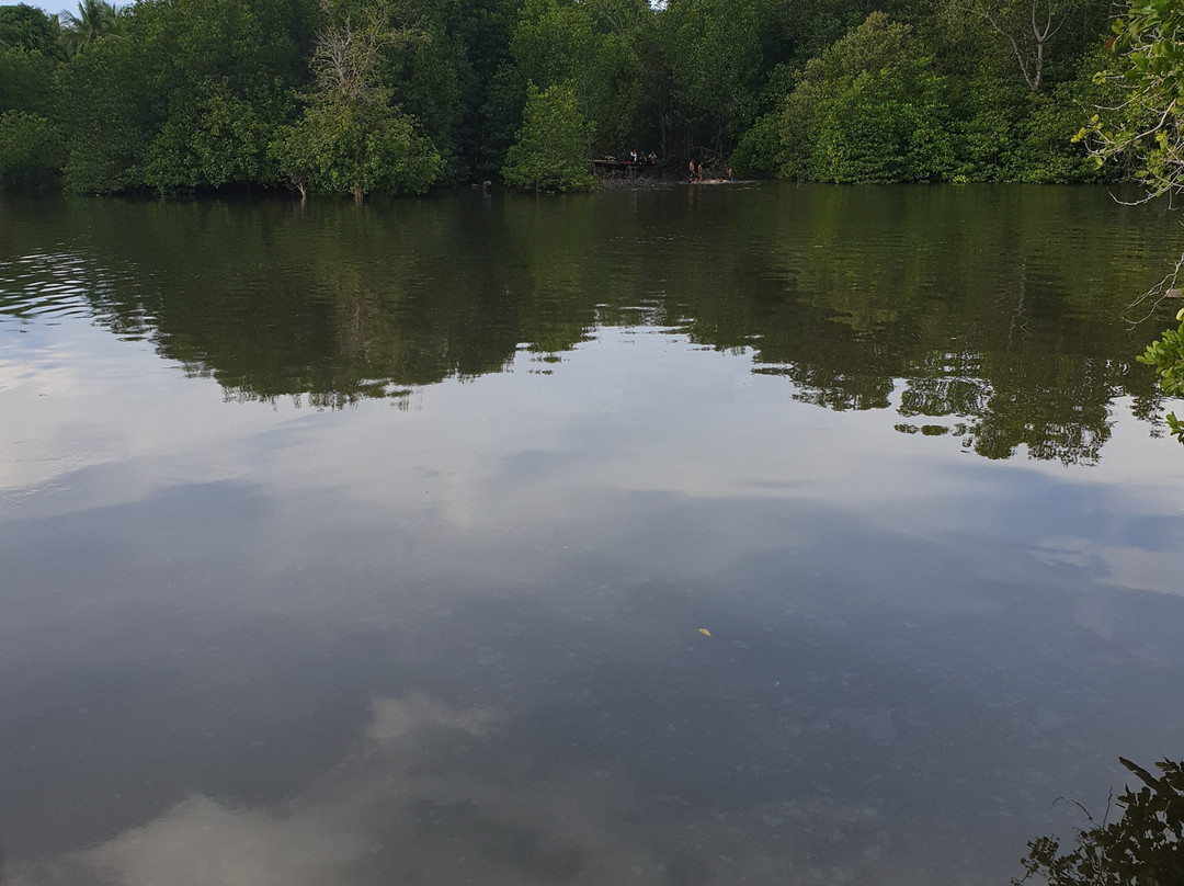沙巴-仙本那必去景点