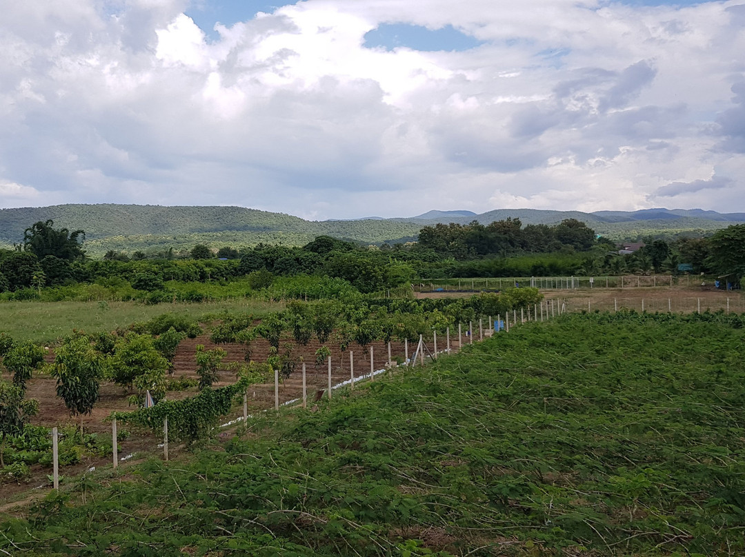 Private Guide in Chiang Mai-清迈必去景点