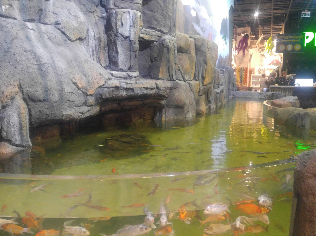 Funtastic Aquariums景点图片