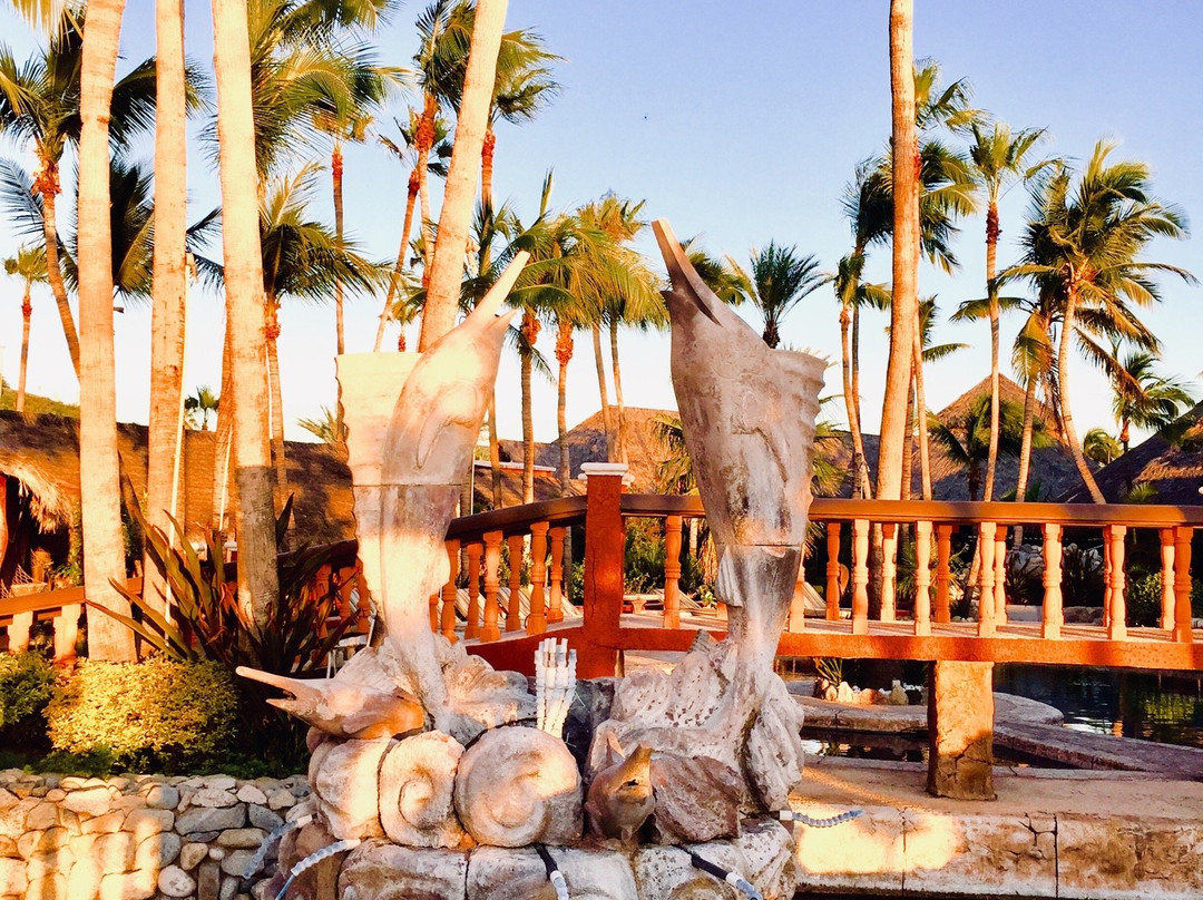 Hotel Palmas De Cortez主图