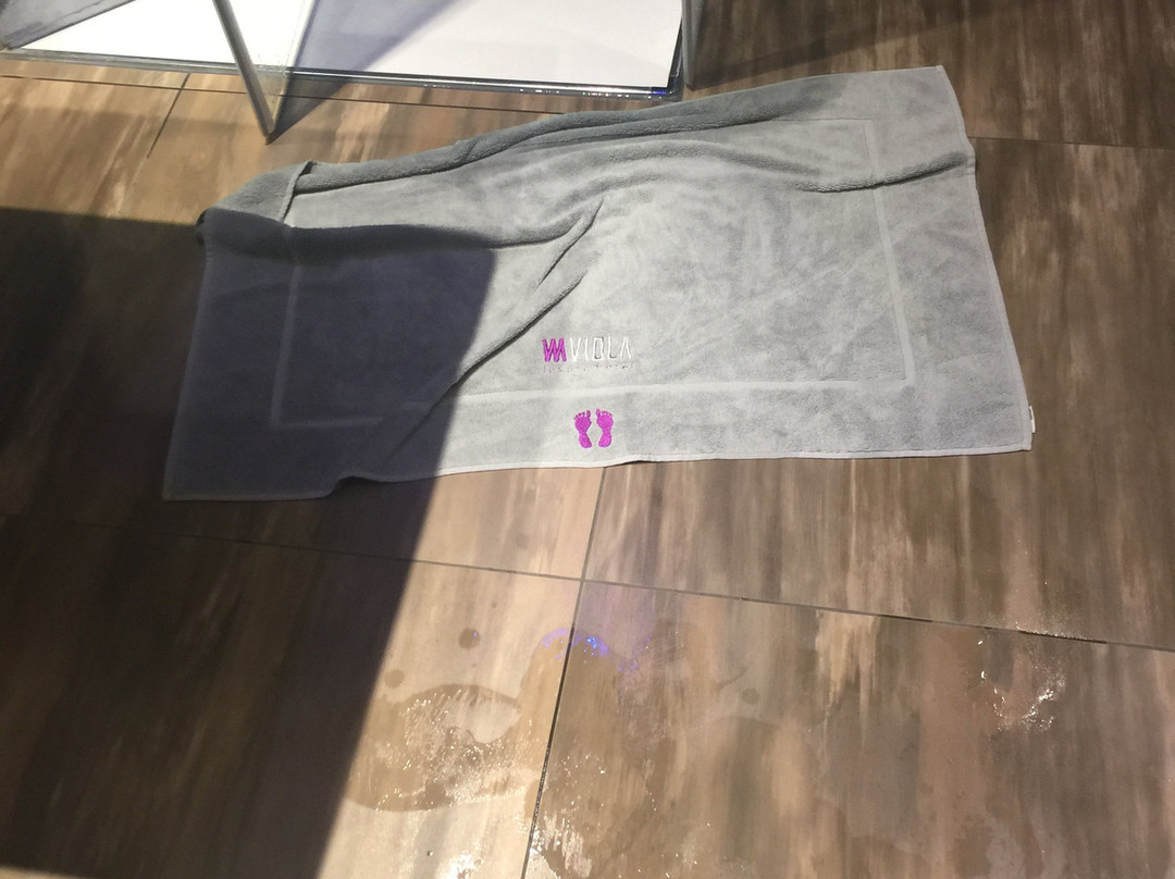 Viola Mhotel主图