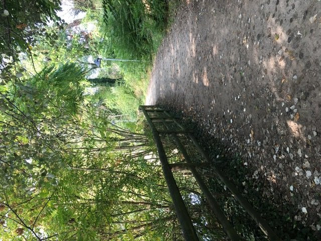Parco Laghetto景点图片