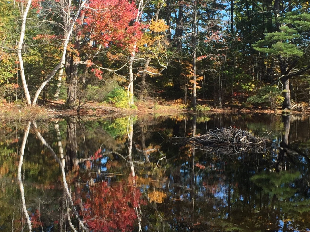 Franciscan Guest House主图