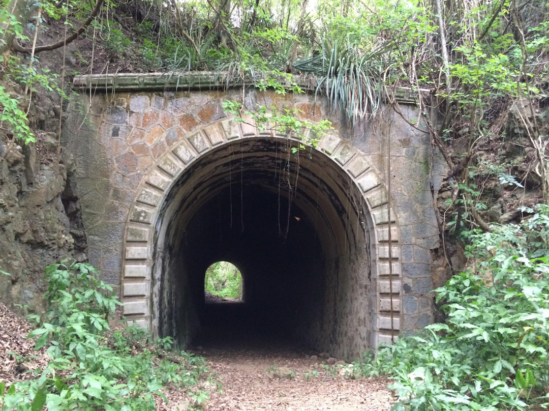 Túnel Guaniquilla景点图片
