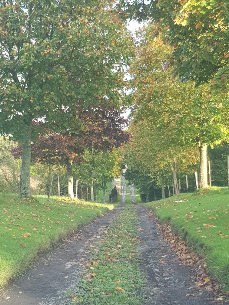 Le Manoir de Herouville-官方
