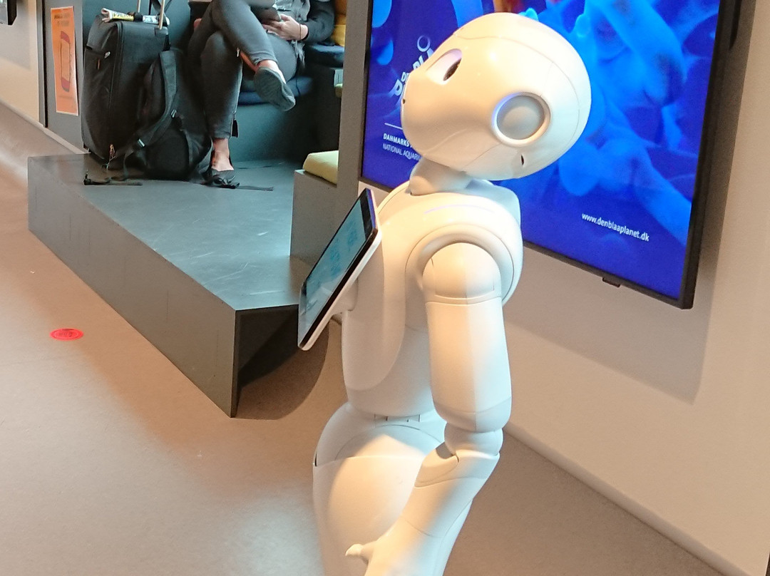 Copenhagen Visitor Service-哥本哈根必去景点