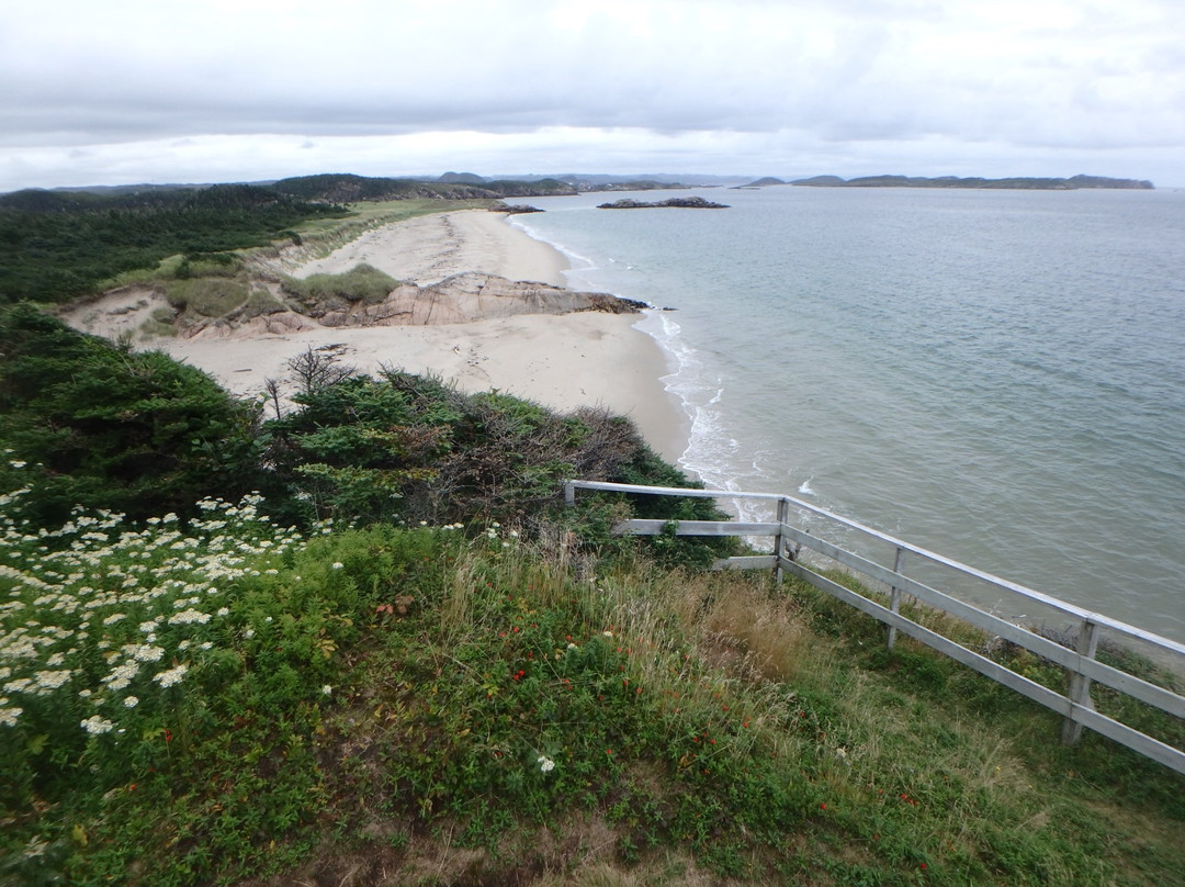 Sandbanks Provincial Park景点图片