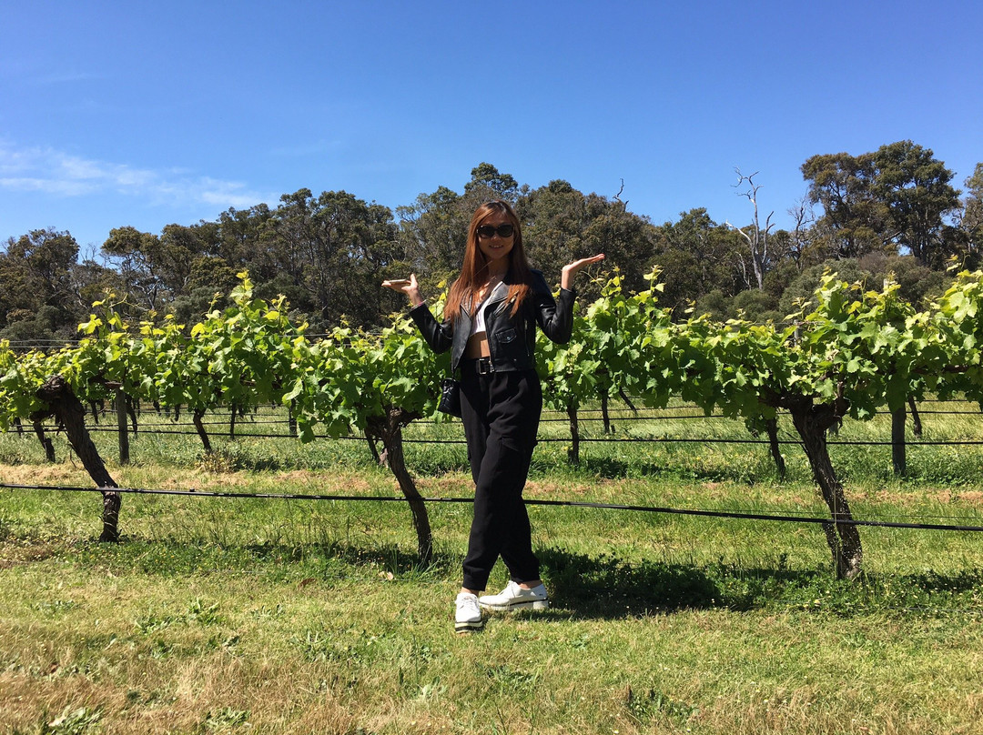 Margaret River Winemakers景点图片
