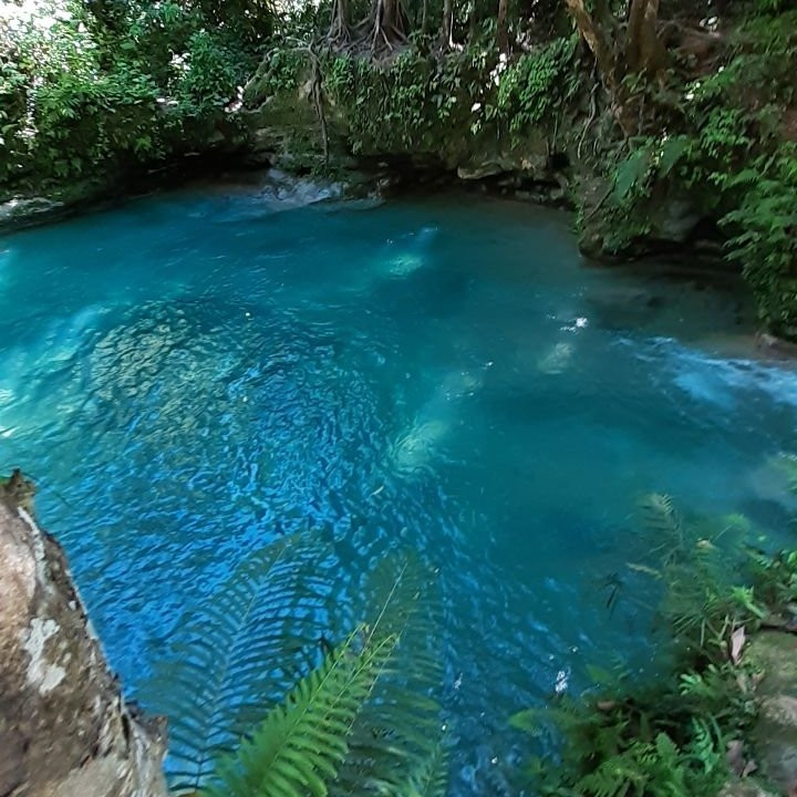 Rio Sonador-Yasica Arriba必去景点