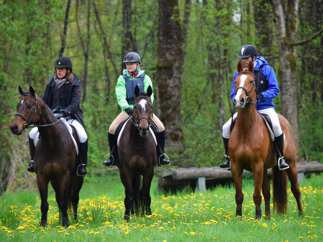 Hylee Training-乔治王子城必去景点