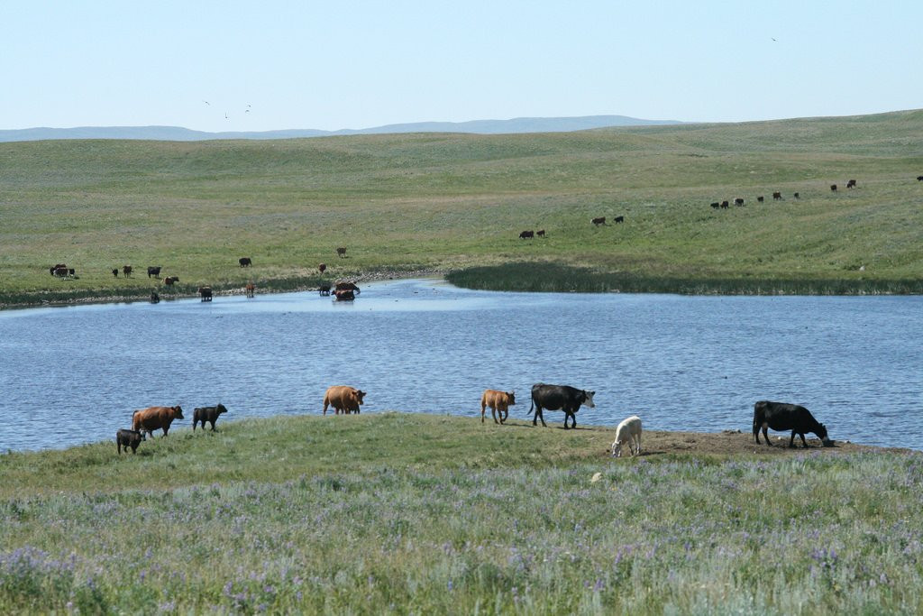 Twin River Heritage Rangeland Natural Area景点图片