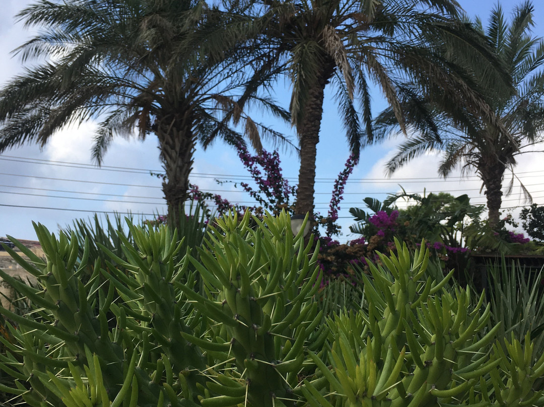 枫树农场住宿加早餐旅馆主图