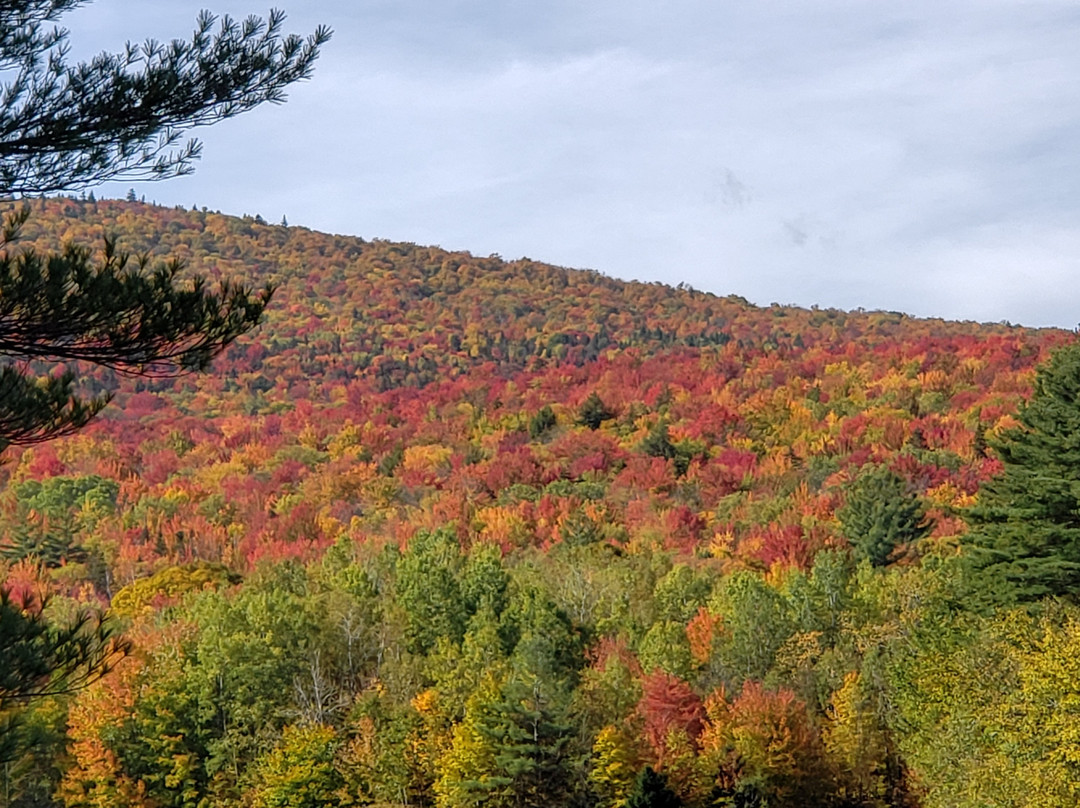 绿山国家森林-Rutland必去景点