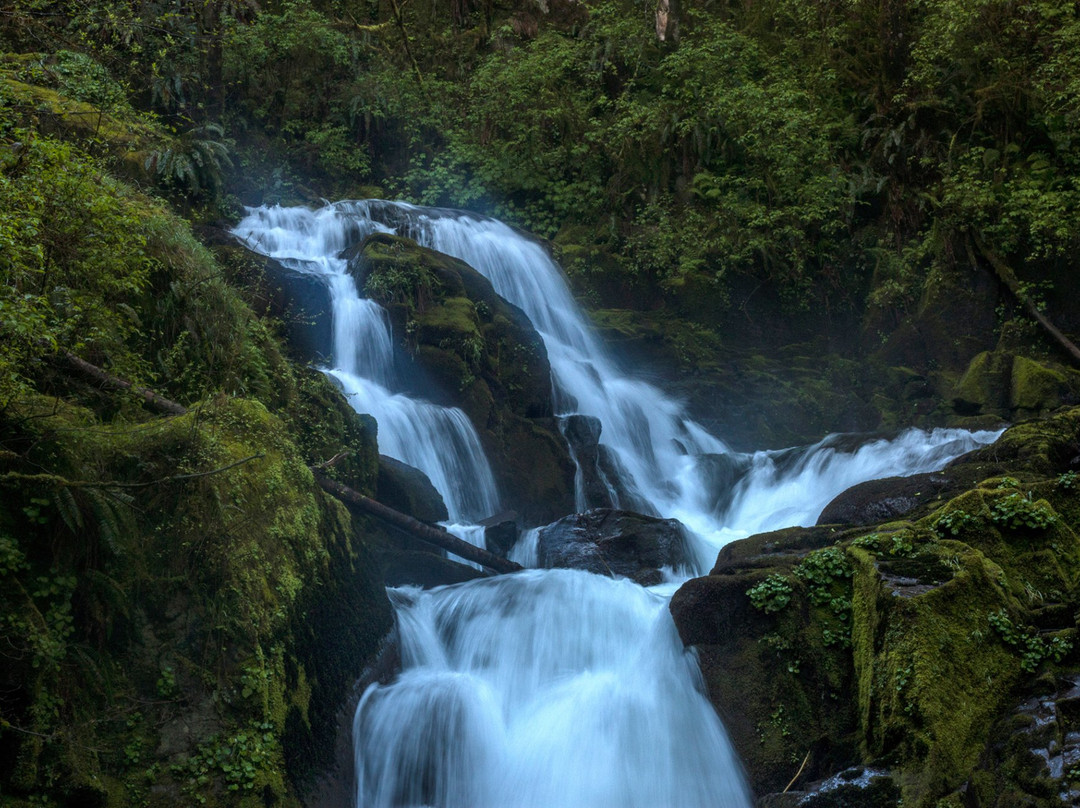 Walton旅游景点-Sweet Creek Falls