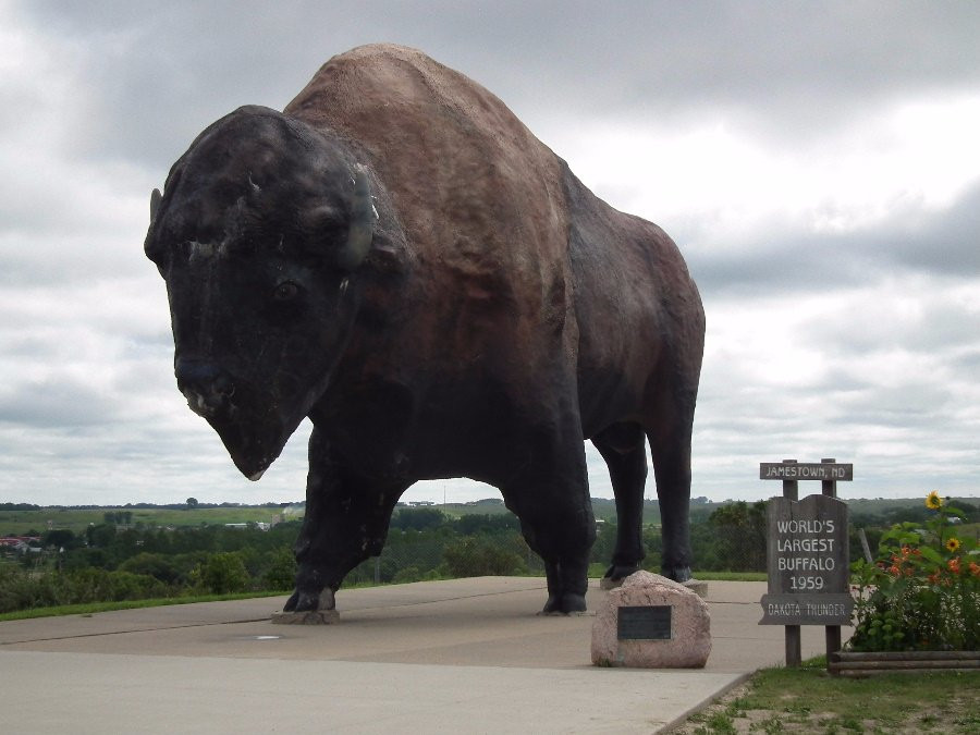 National Buffalo Museum景点图片