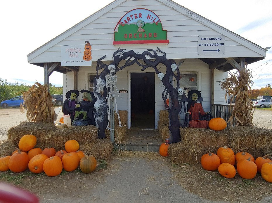 Carter Hill Orchard景点图片