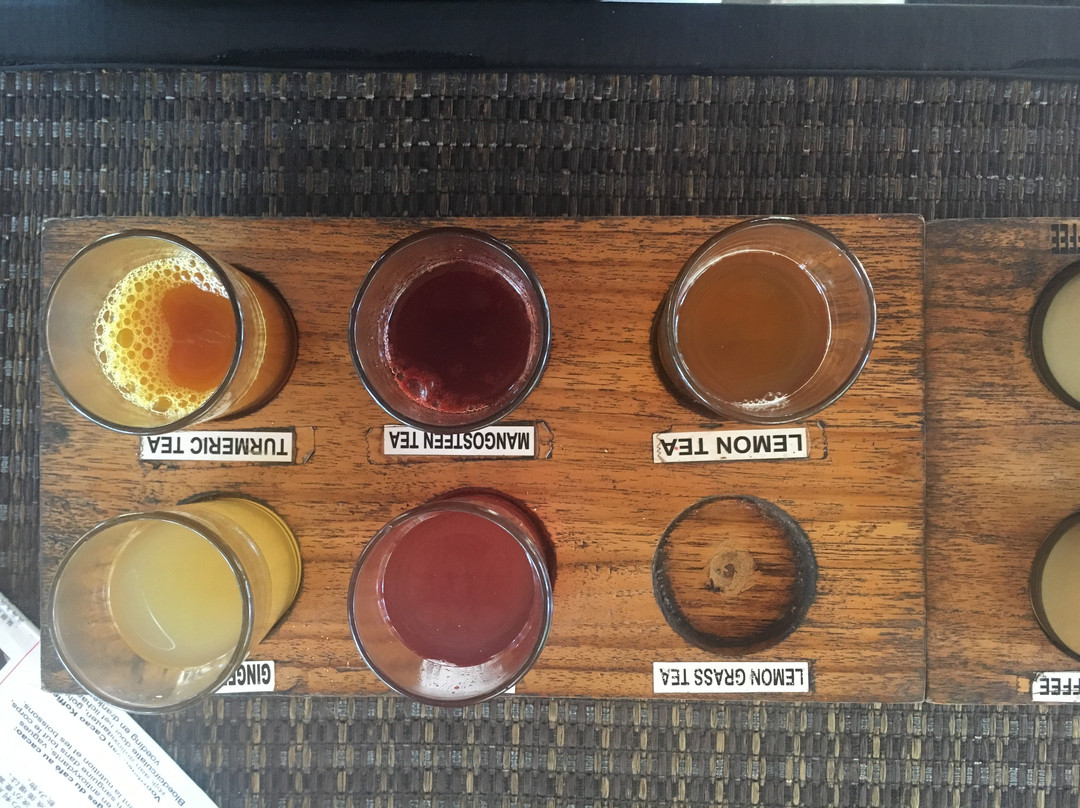 Bali Mandala Tours-乌布必去景点