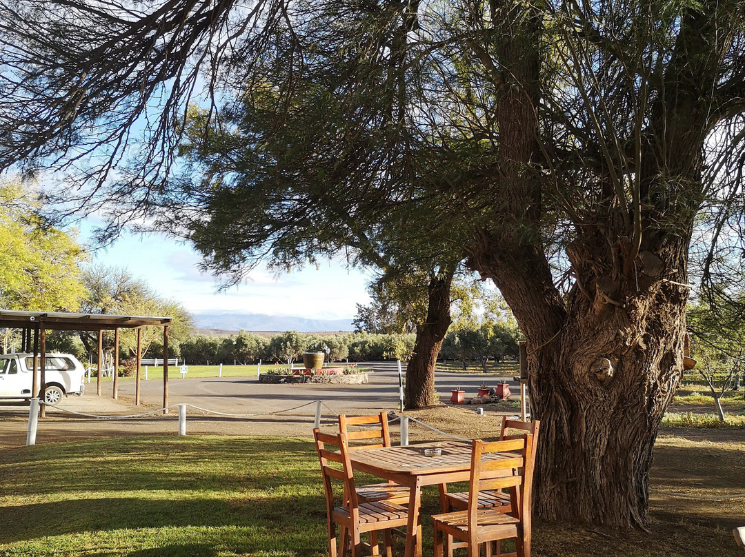 Olive Grove Guest Farm主图