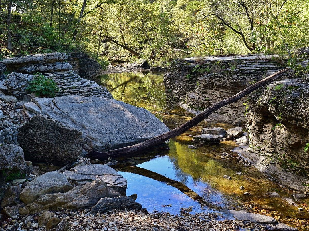 Hercules Glades Wilderness Area景点图片