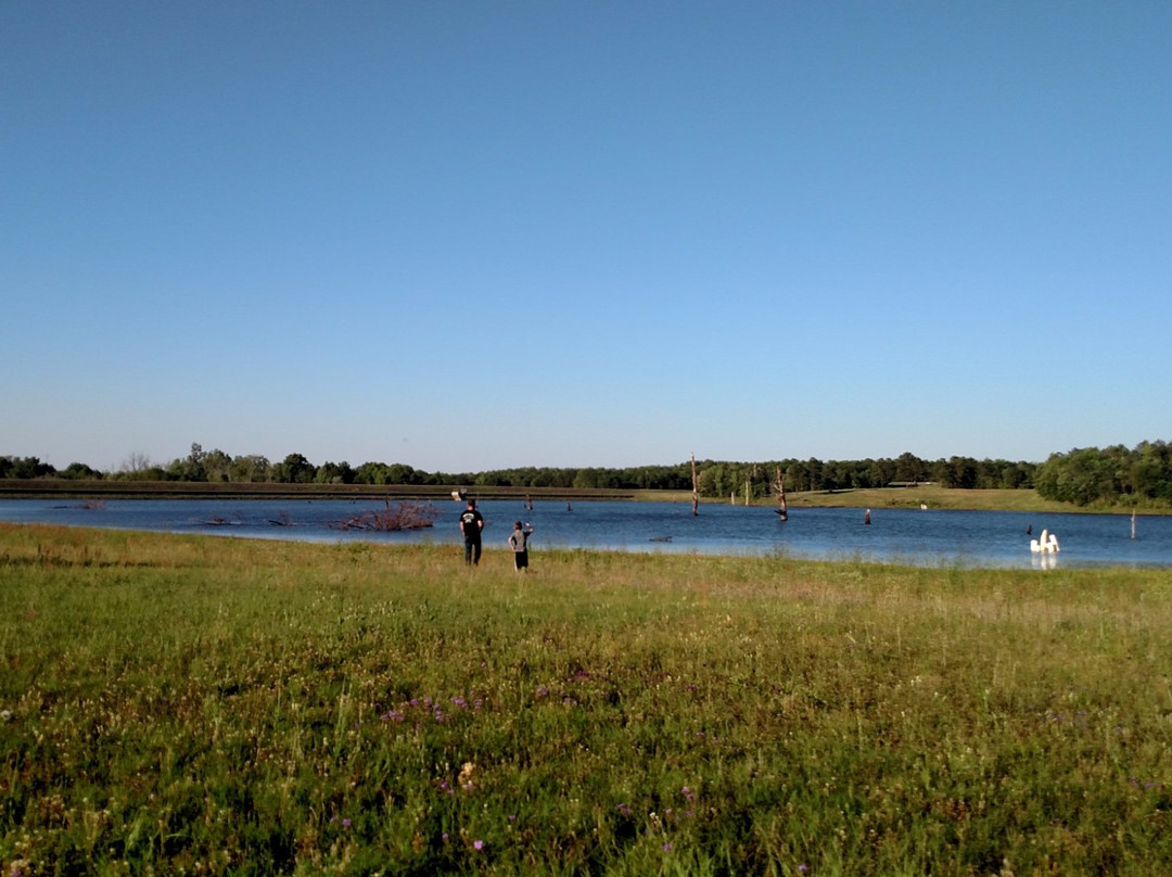 Flat Creek Public Fishing Area景点图片