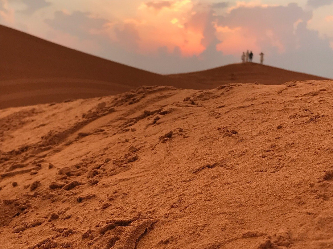 Dubai Desert Tours景点图片