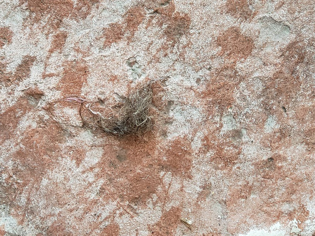 Baymont Inn & Suites by Wyndham Sturgis主图