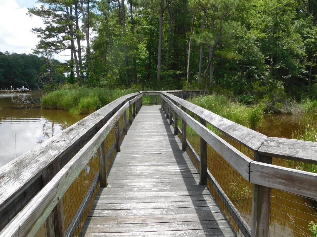 Bush Mill Stream Natural Area Preserve景点图片