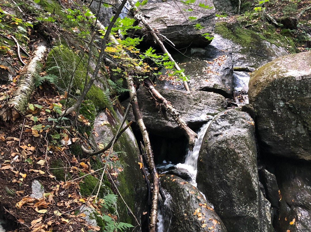 Worcester旅游攻略图片