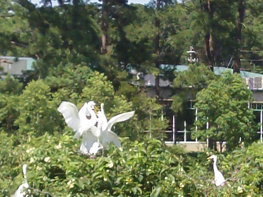 Parris Island旅游景点-Cypress Wetlands