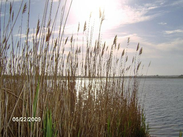 Fishermen's Memorial State Park & Campground景点图片