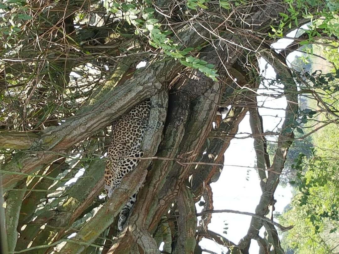 HOMESTEAD TOURS and SAFARIS IN UGANDA-Soroti必去景点