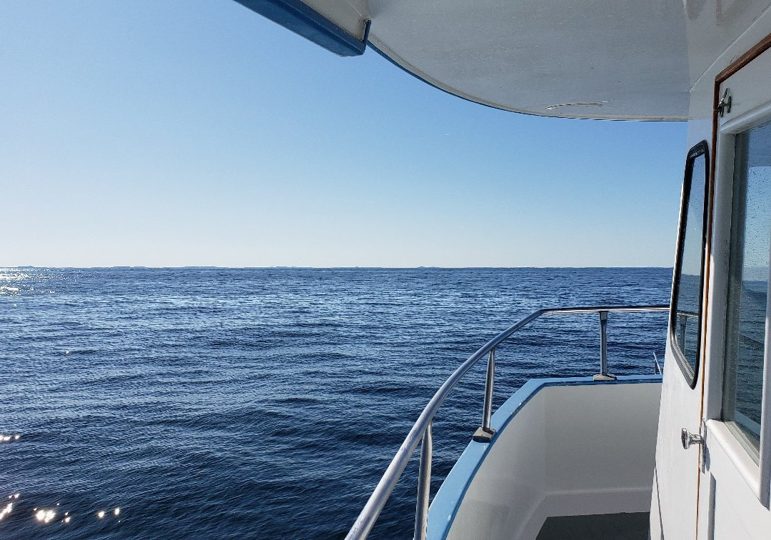 Captain's Fishing Parties & Cruises景点图片