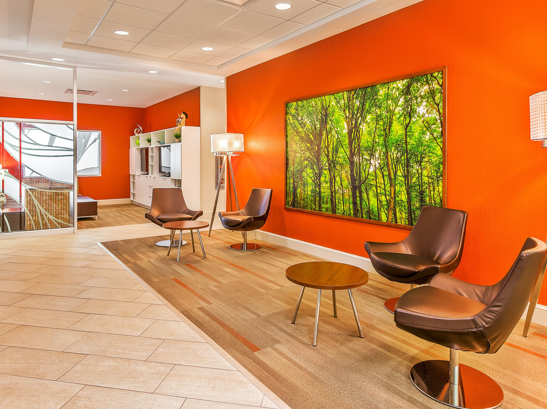 悉尼水滨假日酒店主图