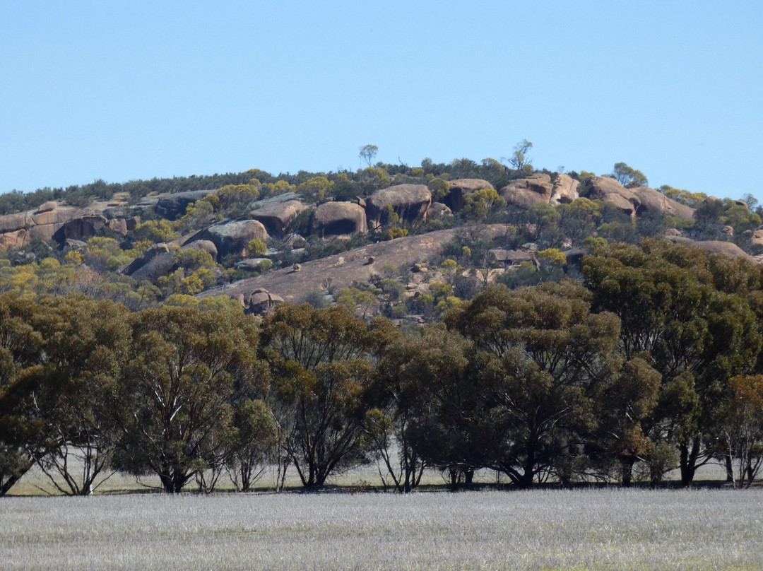 Kokerbin Rock景点图片