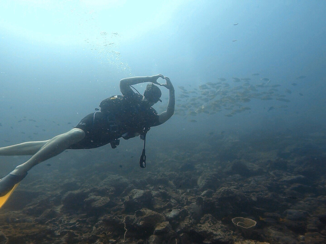 Perhentian Dive Center景点图片