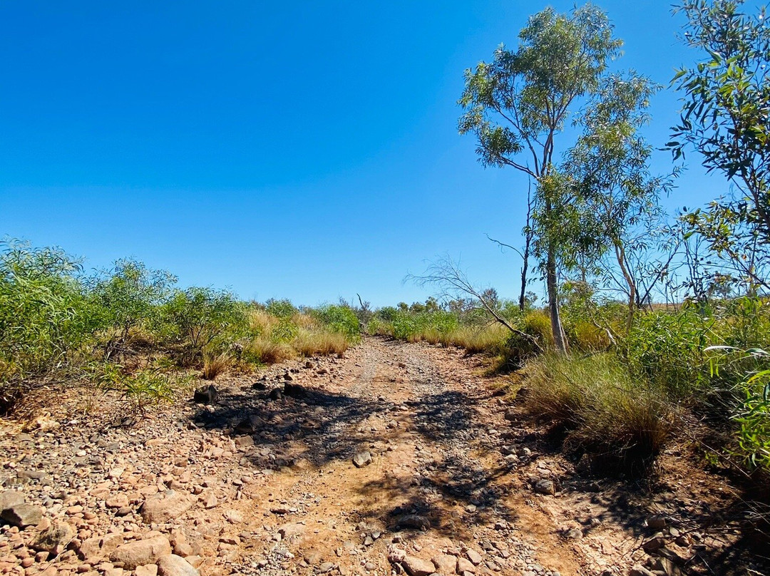 Ngurin Bush Tucker Trail