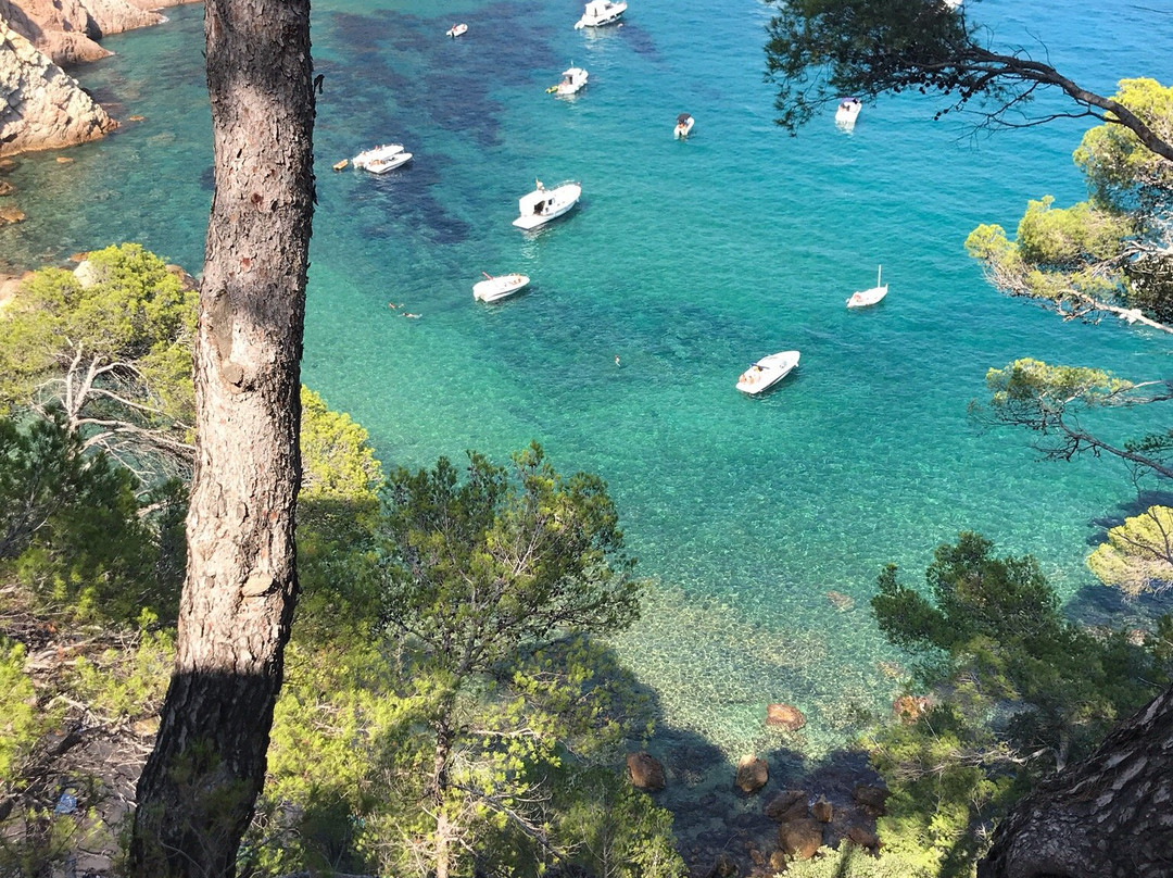 Cala Futadera景点图片