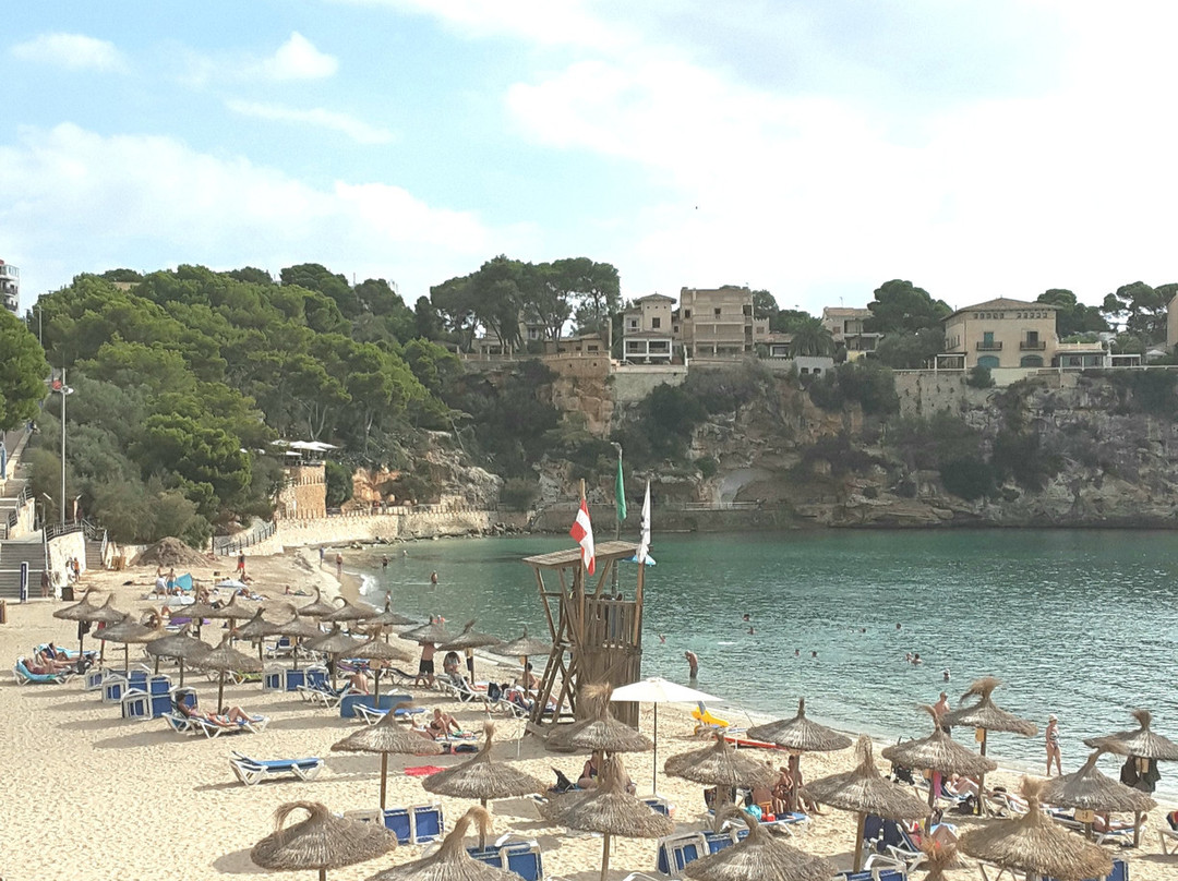 Mallorca Cecilia Apartamentos主图