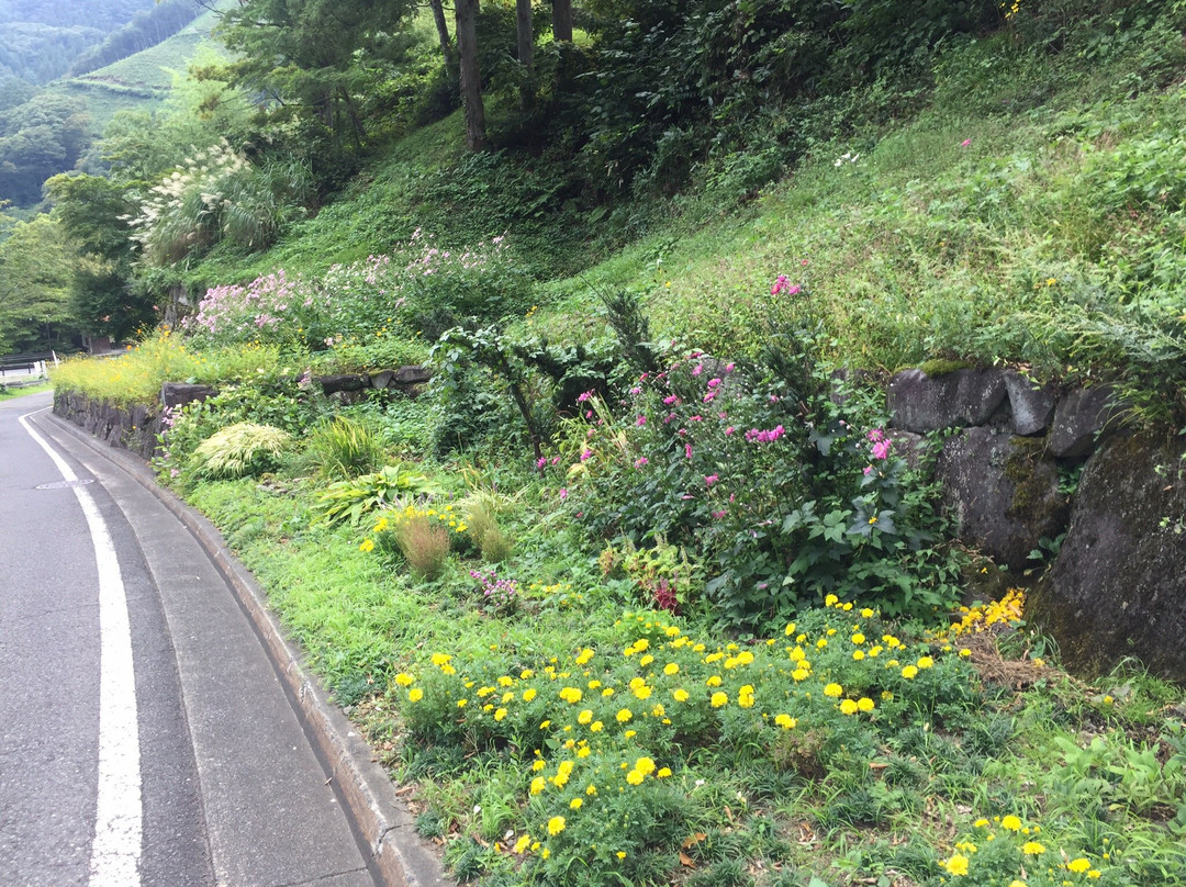 Tenichi Art Museum景点图片