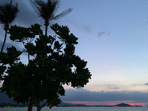 桃源海滩度假酒店主图